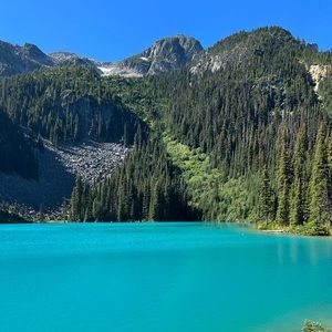 Meet your Posher, Tasha (& Alyssa)